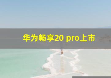 华为畅享20 pro上市