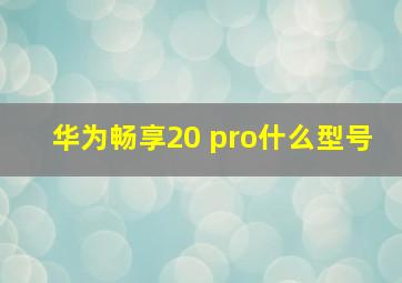 华为畅享20 pro什么型号