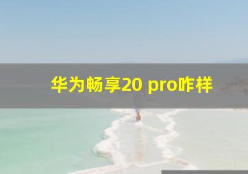 华为畅享20 pro咋样