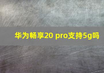 华为畅享20 pro支持5g吗