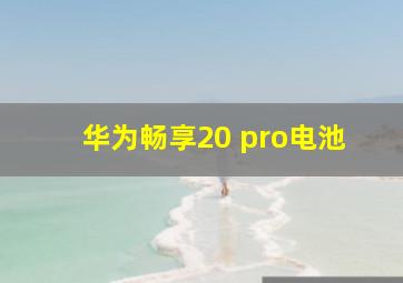 华为畅享20 pro电池