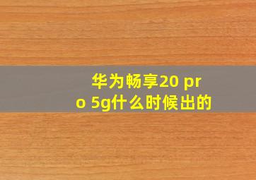 华为畅享20 pro 5g什么时候出的