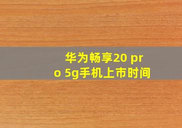 华为畅享20 pro 5g手机上市时间