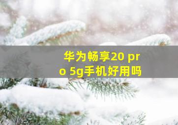 华为畅享20 pro 5g手机好用吗