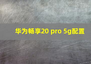 华为畅享20 pro 5g配置