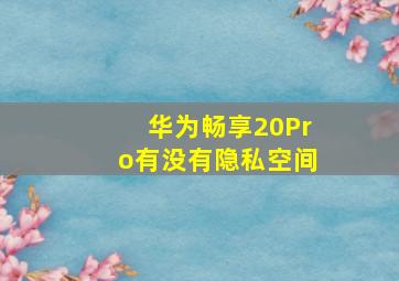 华为畅享20Pro有没有隐私空间