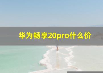 华为畅享20pro什么价