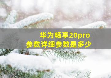 华为畅享20pro参数详细参数是多少