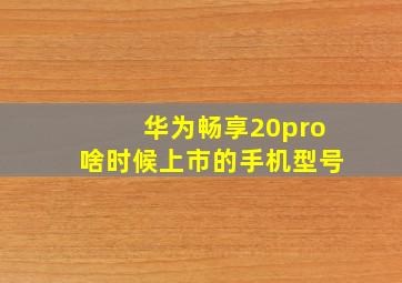 华为畅享20pro啥时候上市的手机型号