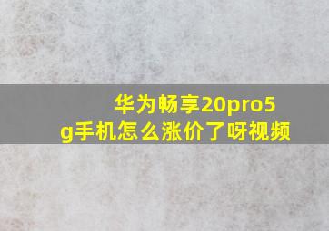 华为畅享20pro5g手机怎么涨价了呀视频