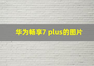 华为畅享7 plus的图片