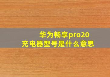 华为畅享pro20充电器型号是什么意思