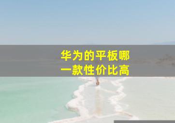 华为的平板哪一款性价比高