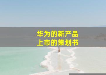 华为的新产品上市的策划书