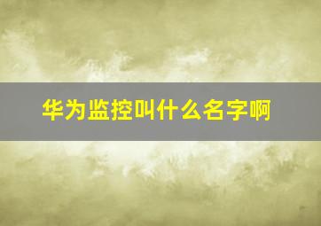 华为监控叫什么名字啊