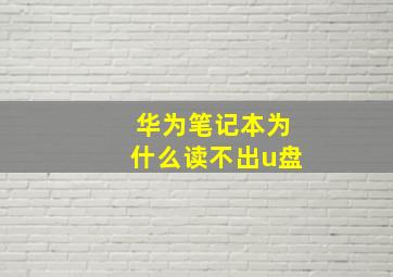 华为笔记本为什么读不出u盘