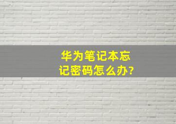 华为笔记本忘记密码怎么办?