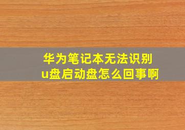 华为笔记本无法识别u盘启动盘怎么回事啊