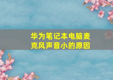 华为笔记本电脑麦克风声音小的原因