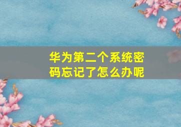 华为第二个系统密码忘记了怎么办呢