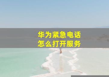 华为紧急电话怎么打开服务