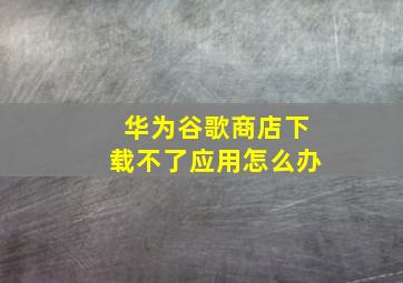 华为谷歌商店下载不了应用怎么办