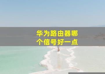 华为路由器哪个信号好一点