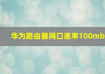 华为路由器网口速率100mb