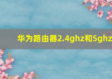 华为路由器2.4ghz和5ghz