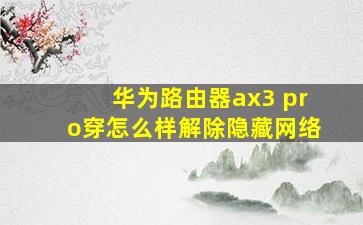 华为路由器ax3 pro穿怎么样解除隐藏网络