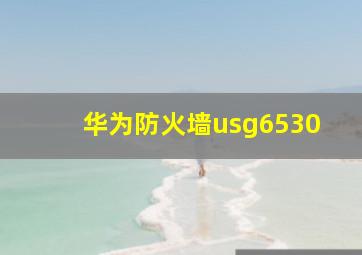 华为防火墙usg6530