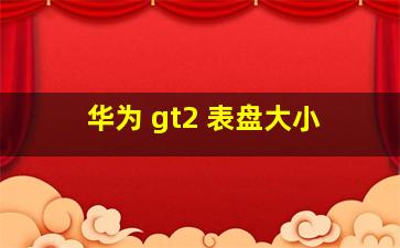 华为 gt2 表盘大小