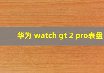 华为 watch gt 2 pro表盘