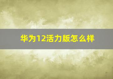 华为12活力版怎么样