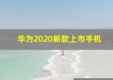 华为2020新款上市手机