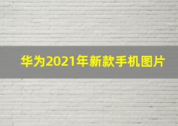 华为2021年新款手机图片