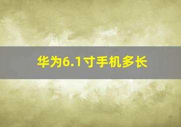 华为6.1寸手机多长