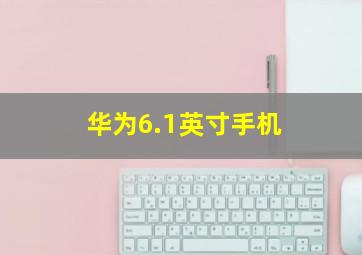 华为6.1英寸手机