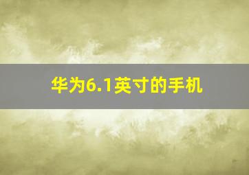 华为6.1英寸的手机