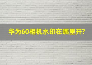 华为60相机水印在哪里开?