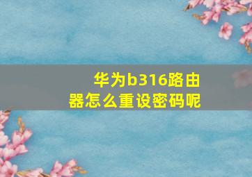 华为b316路由器怎么重设密码呢