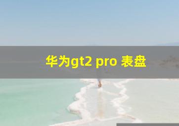 华为gt2 pro 表盘