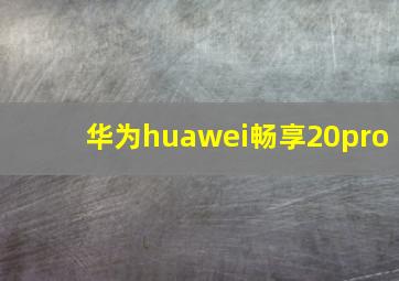 华为huawei畅享20pro