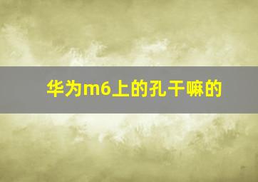 华为m6上的孔干嘛的