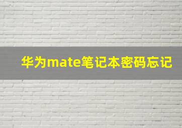 华为mate笔记本密码忘记