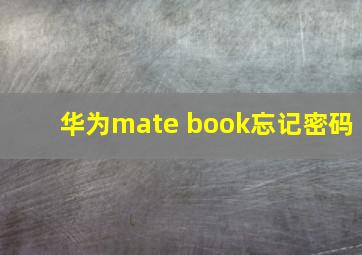 华为mate book忘记密码