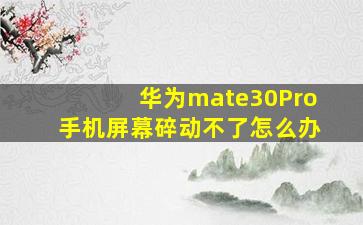 华为mate30Pro手机屏幕碎动不了怎么办