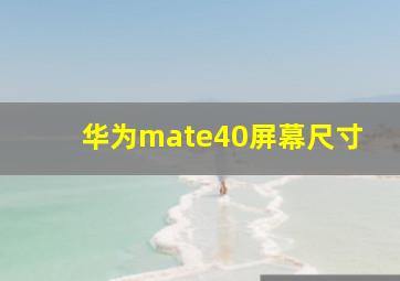 华为mate40屏幕尺寸