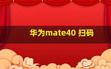 华为mate40 扫码