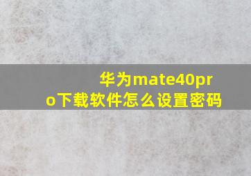 华为mate40pro下载软件怎么设置密码